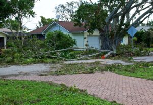 broken trees with house after hurricane
